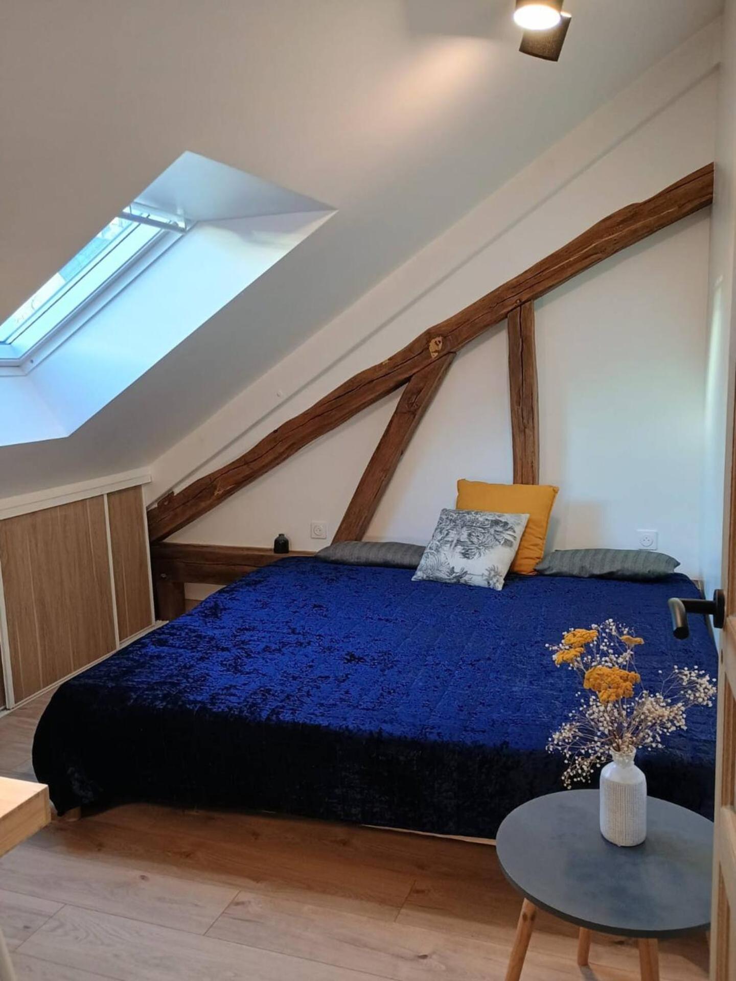 Domaine De Charme Au Coeur D'Orleans Classe 3 Etoiles - Bords De Loire - 21 Couchages Avec Parkings Prives Zewnętrze zdjęcie